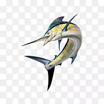 鱼类食物海洋喙鱼-空若网 鱼类食物海洋喙鱼-空若网