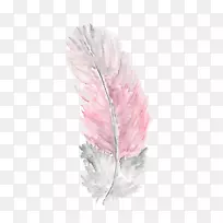 Ë®²Ê»Óðë°æ»-¿ÕÈôÍø Ë®²Ê»Óðë°æ»-¿ÕÈôÍø