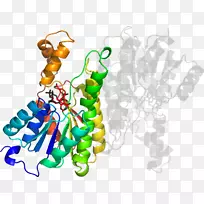 平面设计树剪贴画设计-空若网 平面设计树剪贴画设计-空若网
