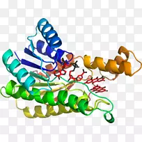 生物线动物剪贴画线-空若网 生物线动物剪贴画线-空若网