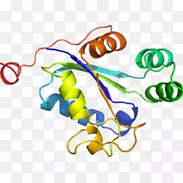 ����ƽ����Ƶ��������-������