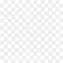 白草系树-芦荟科-空若网 白草系树-芦荟科-空若网