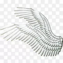 天使翅膀剪贴画-PNG翅膀-空若网 天使翅膀剪贴画-PNG翅膀-空若网