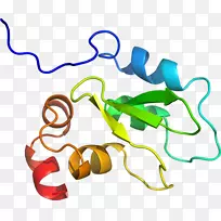 人体珠宝有机体剪贴画设计-空若网 人体珠宝有机体剪贴画设计-空若网