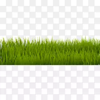 �����ֽ������.�ݱ���-������