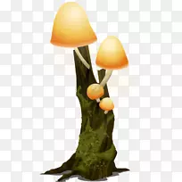 ��ѧ��־Popul rwischaftliche alatur������־-Ģ����-������