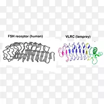 汽车智人.设计-空若网 汽车智人.设计-空若网