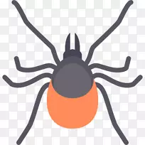 虱子电脑图标寄生螨夹艺术昆虫-空若网 虱子电脑图标寄生螨夹艺术昆虫-空若网