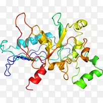 �ߵ������������-������