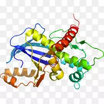 线点生物剪贴画线-空若网 线点生物剪贴画线-空若网