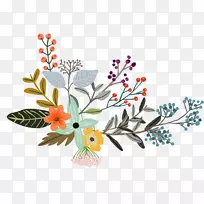 花卉设计插图.彩绘植物-空若网 花卉设计插图.彩绘植物-空若网