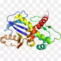 艺术有机体线蔬菜剪贴画线-空若网 艺术有机体线蔬菜剪贴画线-空若网