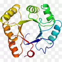 人体行为有机体珠宝剪贴画珠宝首饰-空若网 人体行为有机体珠宝剪贴画珠宝首饰-空若网