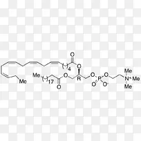 品牌白点设计-空若网 品牌白点设计-空若网