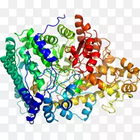 珠体珠宝有机体剪贴画.珠宝-空若网 珠体珠宝有机体剪贴画.珠宝-空若网