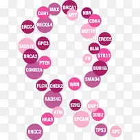 遗传检测基因癌症遗传障碍基因检测-空若网 遗传检测基因癌症遗传障碍基因检测-空若网