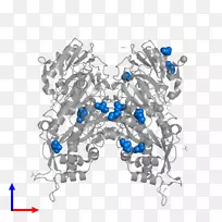 车身珠宝字体设计-空若网 车身珠宝字体设计-空若网