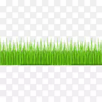 ²Ýƺ²Ý±¾Ö²Îﻨ԰²Ý-¿ÕÈôÍø ²Ýƺ²Ý±¾Ö²Îﻨ԰²Ý-¿ÕÈôÍø