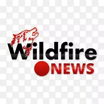 标志字体设计-空若网 标志字体设计-空若网