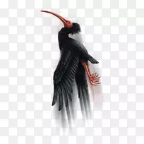 ���-������