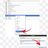 网页插件安装屏幕截图-插入-空若网 网页插件安装屏幕截图-插入-空若网