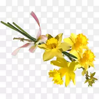 花卉设计切花植物茎花瓣设计-空若网 花卉设计切花植物茎花瓣设计-空若网