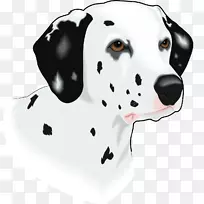 ��������ǹ�������-С��-������