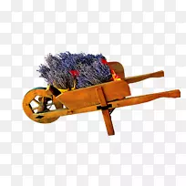 ޹�²ݻ���-������