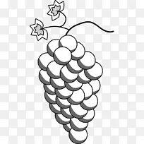 葡萄酒绘画剪贴画.葡萄-空若网 葡萄酒绘画剪贴画.葡萄-空若网