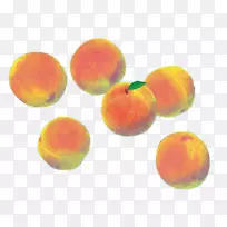 Ë®²Ê»ÏÂÔØ-ÊÖ»æÌÒ»¨¿ÛÃâ·ÑÕÕÆ¬-¿ÕÈôÍø Ë®²Ê»ÏÂÔØ-ÊÖ»æÌÒ»¨¿ÛÃâ·ÑÕÕÆ¬-¿ÕÈôÍø