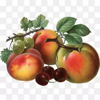 �������Ӽ�����-����-������