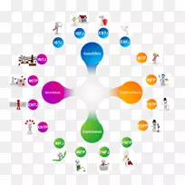 迈尔斯-布里格斯型人格类型enfj esfp-人-空若网 迈尔斯-布里格斯型人格类型enfj esfp-人-空若网