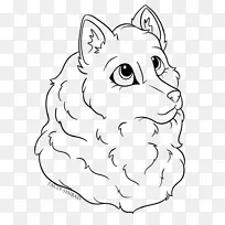 胡须猫鼻子狗犬科猫-空若网 胡须猫鼻子狗犬科猫-空若网