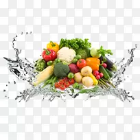 ����ʳƷ��ʳ��ʳ��ʳ�л�ʳƷ�߲�ֲ��-������