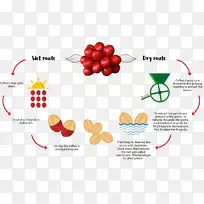 ������������ר�ÿ�������-����-������