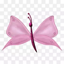 动画剪辑艺术-卡通蝴蝶-空若网 动画剪辑艺术-卡通蝴蝶-空若网