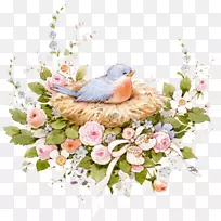 照片桶化身博客-鸟巢-空若网 照片桶化身博客-鸟巢-空若网