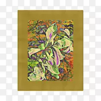 �Ӿ�����Ҷ�ӻ���Գ�ͼ��-Ҷ-������