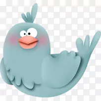 鸟嘴-可爱的鸟-空若网 鸟嘴-可爱的鸟-空若网