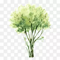 水彩画树灌木插图-树,树-空若网 水彩画树灌木插图-树,树-空若网