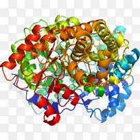 艺术食品剪贴画-空若网 艺术食品剪贴画-空若网