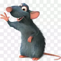 实验大鼠黑鼠竞赛博客-老鼠-空若网 实验大鼠黑鼠竞赛博客-老鼠-空若网