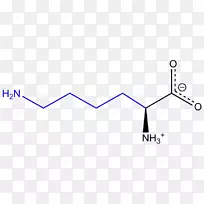 �����ᰱ���ᾫ���᰷-������