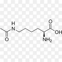 ����������������������Ȱ�����-������