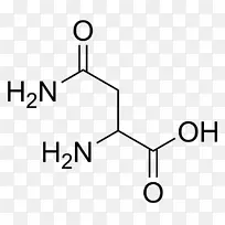 ��������������ʳ�����-������