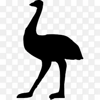 澳洲剪影普通鸵鸟剪贴画-澳洲-空若网 澳洲剪影普通鸵鸟剪贴画-澳洲-空若网