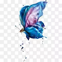 蝴蝶Android图标-空若网 蝴蝶Android图标-空若网