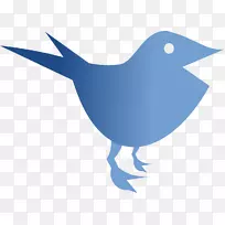 电脑图标剪贴画鸟头-空若网 电脑图标剪贴画鸟头-空若网