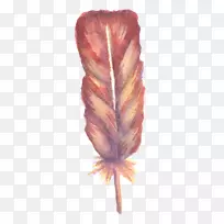 ˮ�ʻ�������ˮ�ʻ���ë-����Ư��������ˮ�ʻ�ϵˮ�ʻ���ë-������