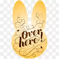 模切横幅澳大利亚-空若网 模切横幅澳大利亚-空若网